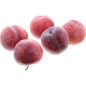 PRUNE ROUGE GRENADINE 5KG